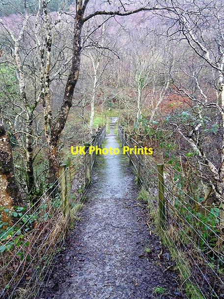 Photo 6"x4" The footbridge over Afon Rheidol  Ystumtuen c2016