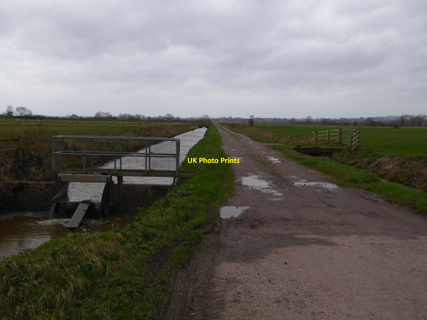 Photo 6"x4" Centre Rhyne and Currymoor Drove West Lyng c2015