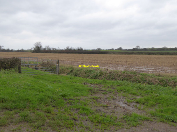 Photo 6"x4" Old Rhyne on Curry Moor West Lyng c2015