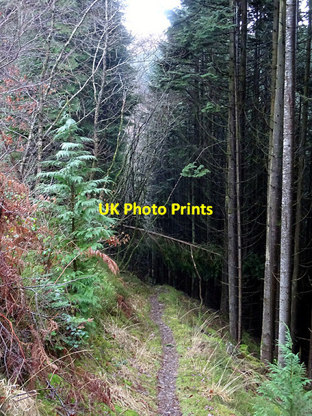 Photo 6"x4" Into the light Devil's Bridge\/Pontarfynach c2016