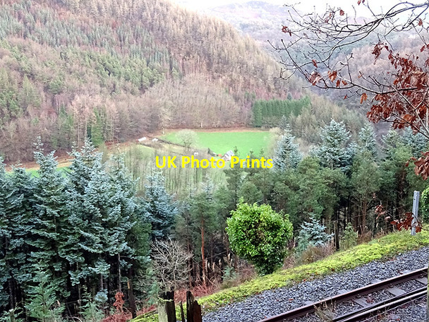 Photo 6"x4" Above the Vale of Rheidol Railway Devil's Bridge\/Pontarfynach c2016