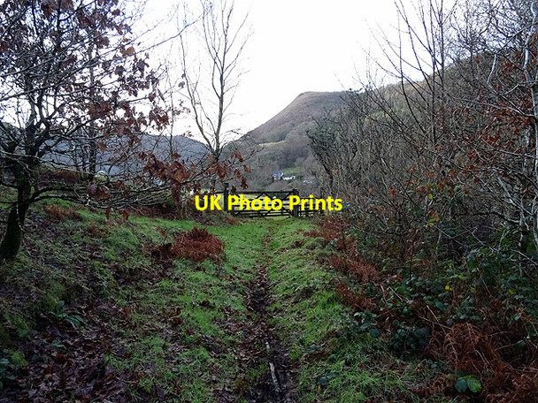 Photo 6"x4" Gate and stile in Cwm Rheidol Ystumtuen c2016