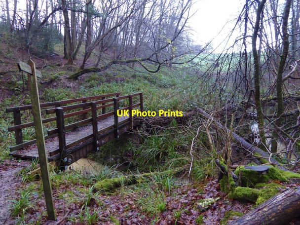 Photo 6"x4" Footbridge in woodland near Bury St Austen's Rowhook c2016
