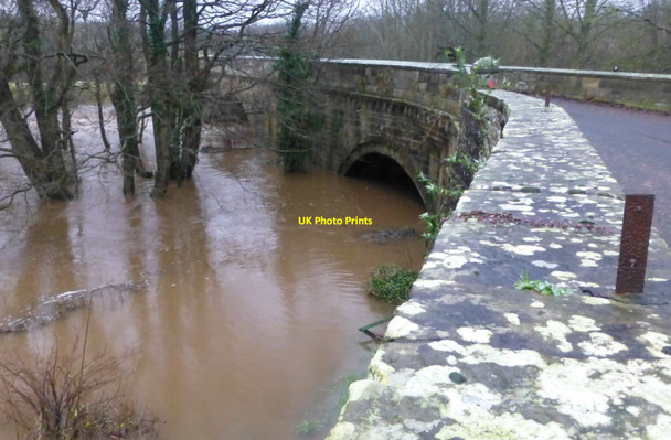 Photo 6"x4" Weldon Bridge with River Coquet in spate Weldon\/NZ1398 c2016