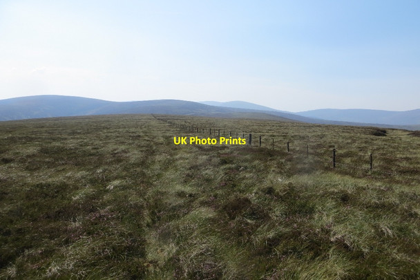Photo 6"x4" March fence Langhaugh\/NT2031 c2015