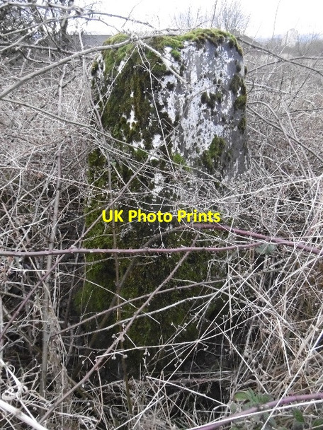 Photo 6"x4" Drumry Wood trig point Bearsden c2016