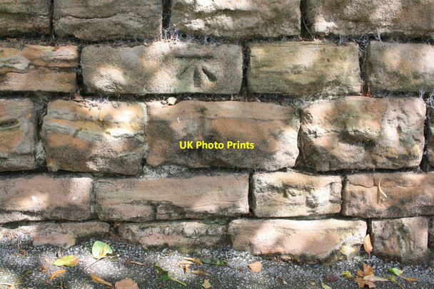 Photo 6"x4" Benchmark on Lincoln Circus wall Nottingham\/SK5641 c2015