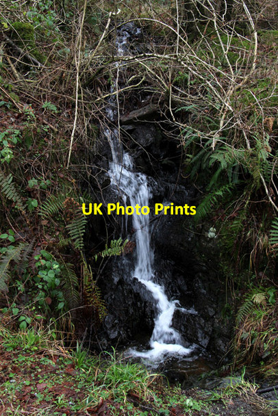 Photo 6"x4" Mini waterfall in Grizedale Forest Grizedale c2016