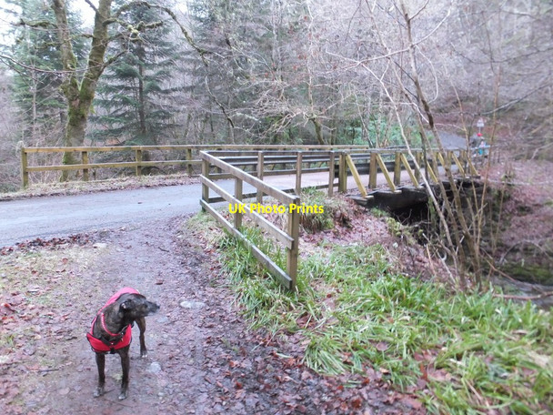 Photo 6"x4" Bridge over the Moniack Burn Balchraggan\/NH5343 c2016