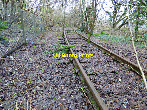 Photo 6"x4" Former James Watt Dock Railway Line Greenock\/NS2776 c2016 P1
