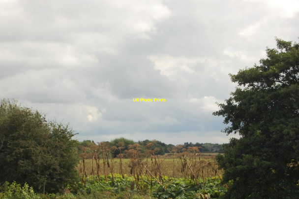 Photo 6"x4" Countryside beside the Manchester Ship Canal Lymm c2012