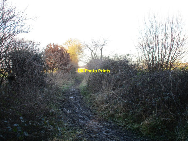 Photo 6"x4" Path to Stainton Lane Maltby\/SK5292 c2016