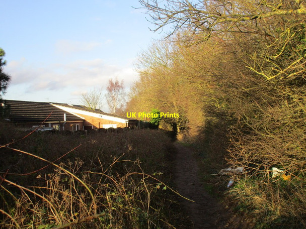 Photo 6"x4" Path alongside Maltby Wood Maltby\/SK5292 c2016