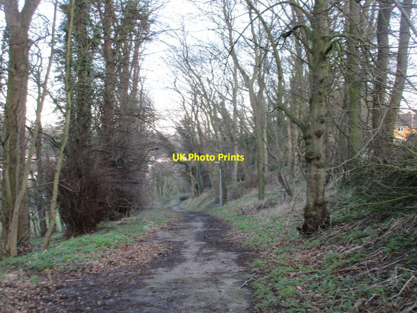 Photo 6"x4" Hooton Lane Maltby\/SK5292 c2016
