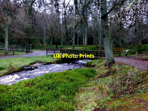 Photo 6"x4" Stream and footbridge, Gortin Glens Forest Park Gortin c2016
