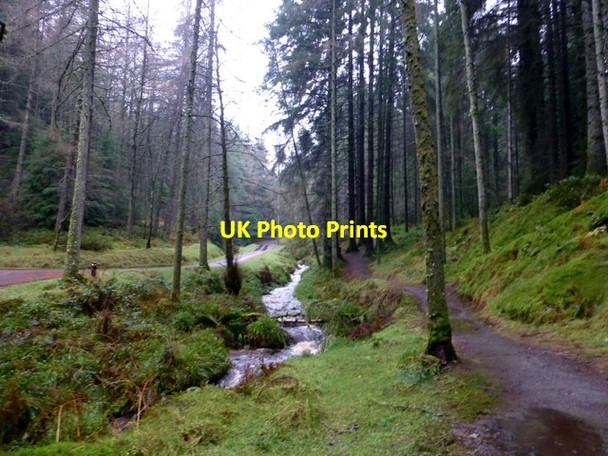 Photo 6"x4" Stream and path, Gortin Glens Forest Park Gortin c2016