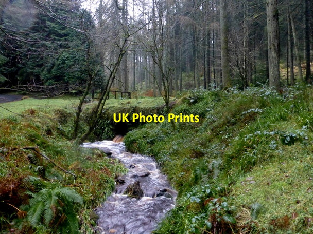 Photo 6"x4" Gushing stream, Gortin Glens Forest Park Gortin c2016