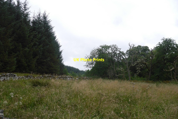 Photo 6"x4" Beside the Shaw Burn Lethem c2015