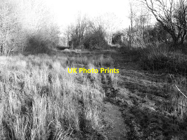 Photo 6"x4" A hangar once used to stand here Hedenham c2016