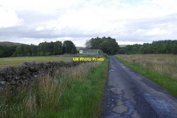 Photo 6"x4" Yellow road, Lethem Lethem c2015