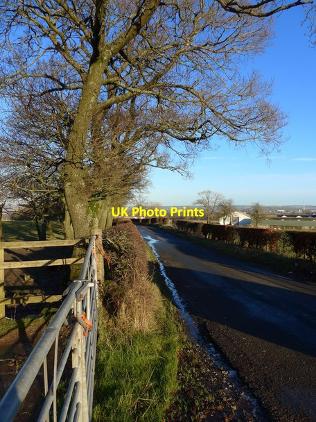 Photo 6"x4" Craigthornhill Road nearing Newhouse farm Glassford c2016
