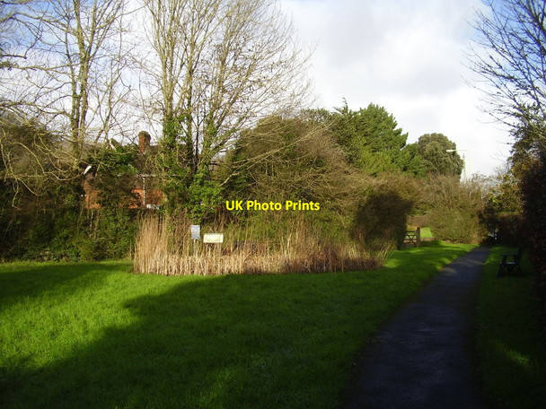 Photo 6"x4" Knapp pond in winter Sidmouth c2016