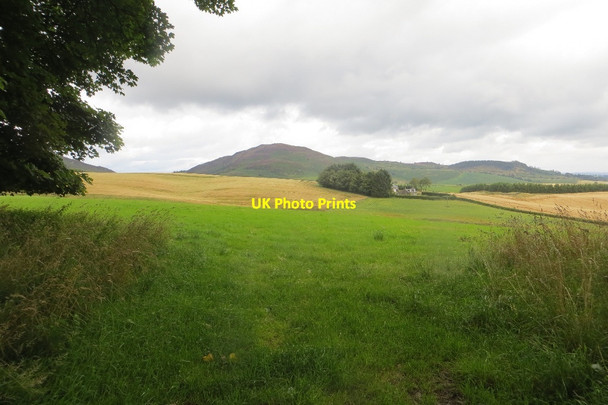 Photo 6"x4" Field by The Glack Waterloo\/NO0536 c2015