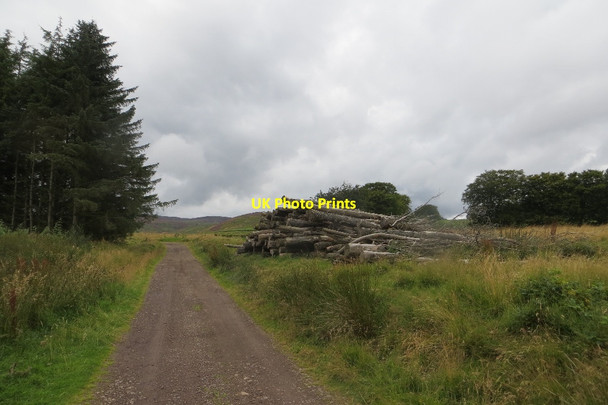 Photo 6"x4" Estate road, The Glack Drum Tick c2015