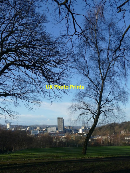Photo 6"x4" Norfolk Park Sheffield\/SK3587 c2016