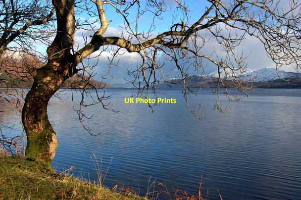 Photo 6"x4" Loch Linnhe at Rubha Dearg Inchree c2016