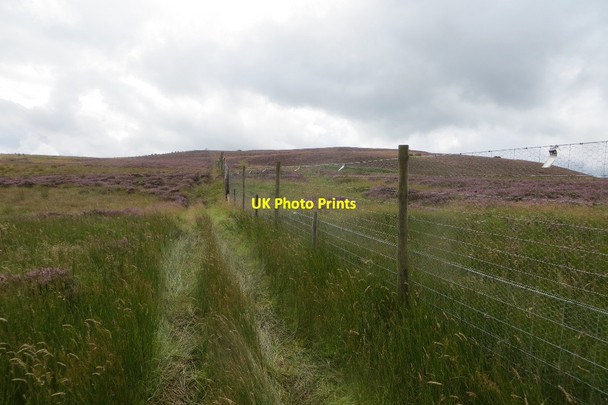 Photo 6"x4" Deer fence Loch Tullybelton c2015
