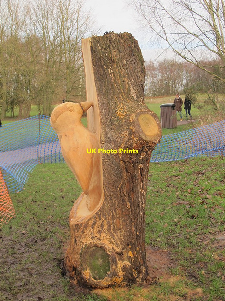 Photo 6"x4" Carved woodpecker at Brereton Heath Davenport\/SJ8065 c2015