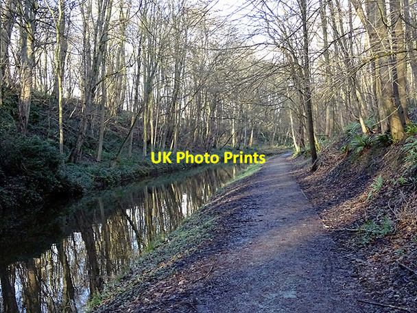 Photo 6"x4" On the tow path of the Llangollen Canal near Chirk Chirk Green c2016