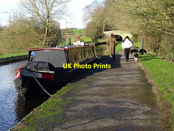 Photo 6"x4" Walking the dogs beside the Llangollen Canal Bryn-yr-Eos c2016