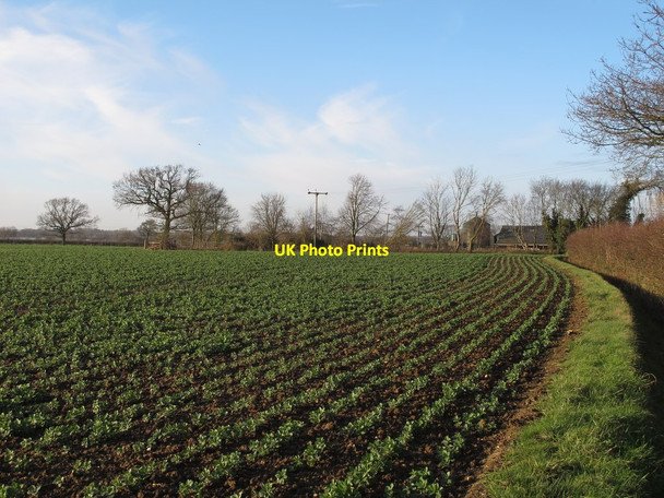 Photo 6"x4" Arable land near Highgates, Little Sampford Boyton End\/TL6232 c2016