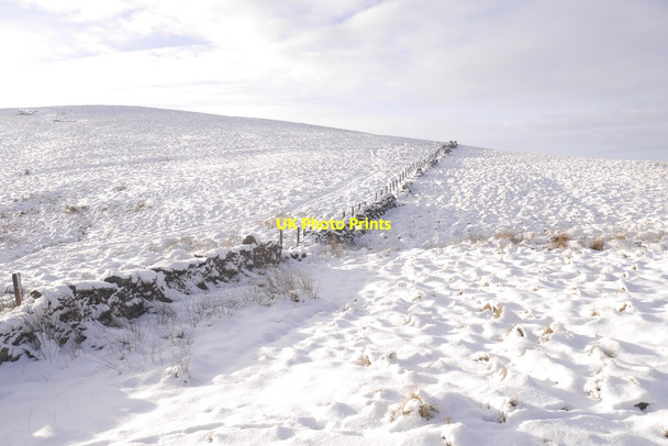 Photo 6"x4" Dyke on Bell's Hill Torphin c2016