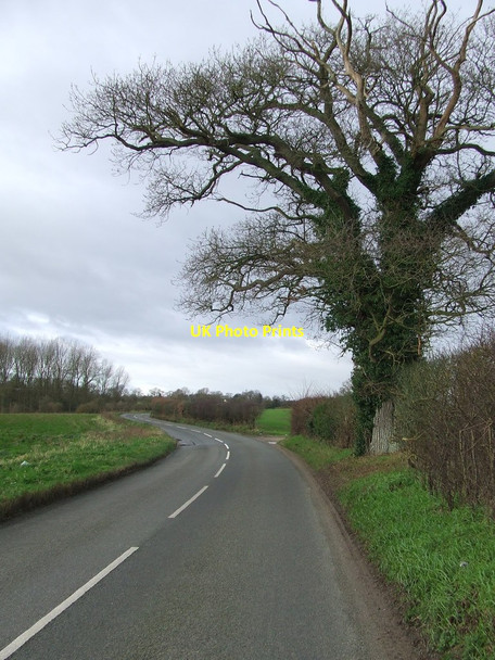 Photo 6"x4" The Street Harleston\/TM2483 c2016