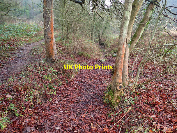 Photo 6"x4" Disused Mill Race Saltburn-By-The-Sea c2016