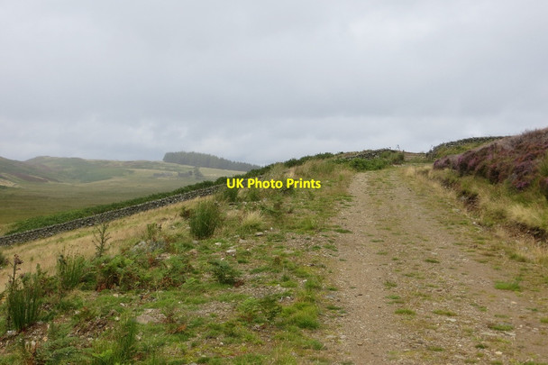 Photo 6"x4" Road through Glen Shee Rose Craig c2015