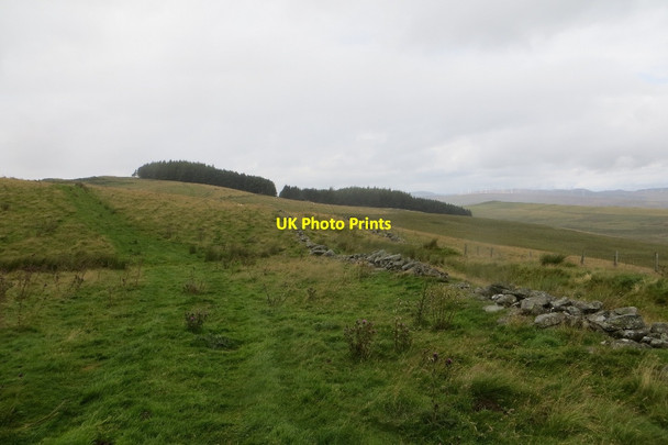 Photo 6"x4" Glen Shee road, Rosecraig Trochry c2015