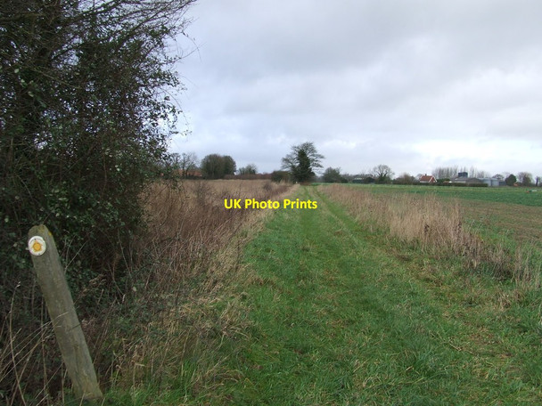 Photo 6"x4" Footpath And Sign Bush Green\/TM2187 c2016