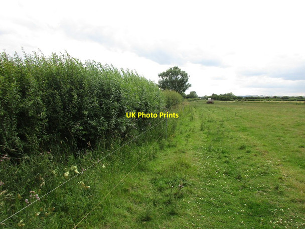 Photo 6"x4" Footpath to Costa Manor Farm Ryton\/SE7975 c2015