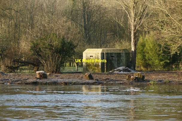 Photo 6"x4" Pillbox by the Tree Streatley\/SU5980 c2016