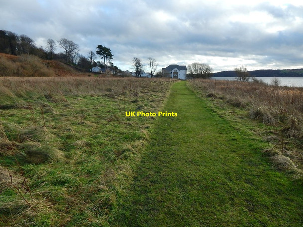 Photo 6"x4" Path in Havoc Grassland Dumbarton c2015