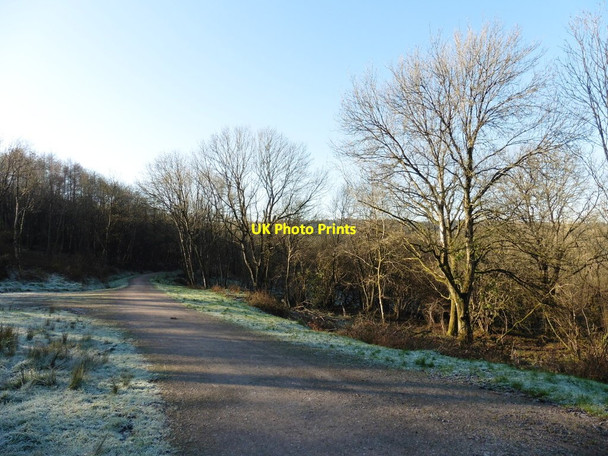 Photo 6"x4" East Deane Way Blackwater\/ST2615 c2016
