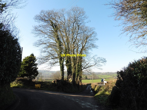 Photo 6"x4" Turning for Bishopswood Little Hill\/ST2613 c2016