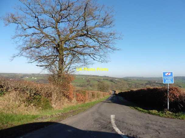 Photo 6"x4" Whatley Lane Bishopswood c2016