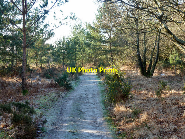 Photo 6"x4" Path on Bramshott Chase Hammer Bottom c2016