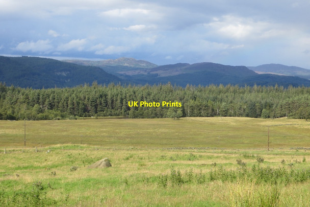 Photo 6"x4" Fields and woods, Balhomish Inver\/NO0142 c2015