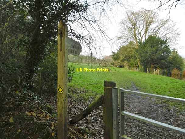 Photo 6"x4" Tarrant Gunville, signpost Tarrant Gunville c2016